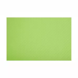 Set de table 30x40cm Vert Kiwi COLOR